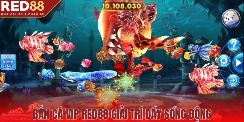 Bắn Cá Vip Red88 giải trí đầy sống động