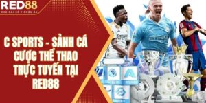 C Sports - Sảnh Cá Cược Thể Thao Trực Tuyến Tại Red88