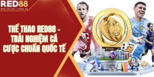 Thể Thao Red88 - Trải Nghiệm Cá Cược Chuẩn Quốc Tế